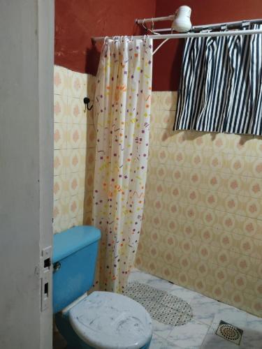 a bathroom with a toilet and a shower curtain at Miraflores 2- Calor de Hogar in Asunción
