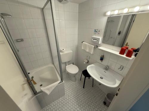 a bathroom with a sink and a toilet and a shower at Hotel Carolinenhof in Bad Pyrmont