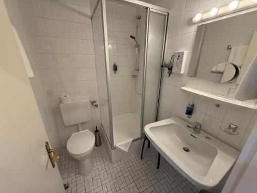 a bathroom with a toilet and a sink and a shower at Hotel Carolinenhof in Bad Pyrmont