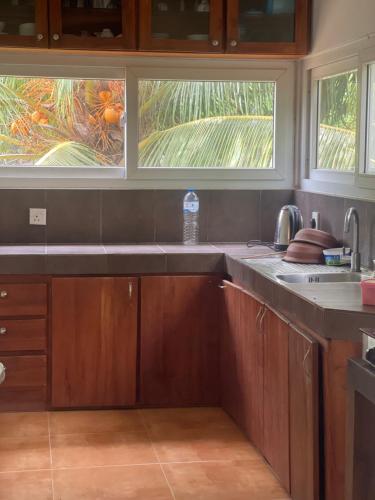a kitchen with wooden cabinets and a sink and two windows at Nature's Hideaway in Anuradhapura