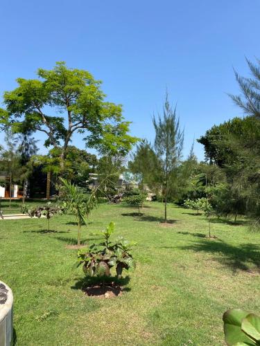 un parque con árboles y plantas en el césped en Roots Recreational Center, en Kabale