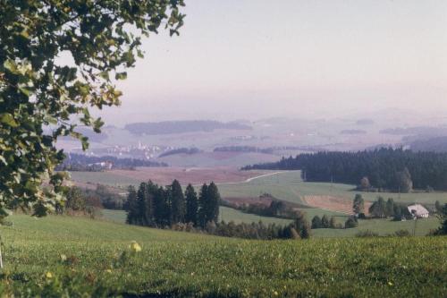 a green field with trees in the distance at Ferienwohnung Abendsonne in Pfarrkirchen in Pfarrkirchen im Mühlkreis