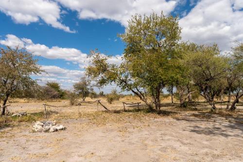 Paisaje cerca de este camping
