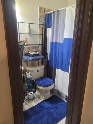 a bathroom with a toilet and a shower curtain at Silverbuttons in Rat Island