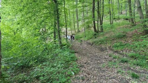 two people walking down a dirt trail in the woods at Casa Cordis in Korduševci