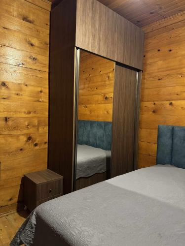 Un dormitorio con un espejo y una cama dentro. en nothin, en Chakvi