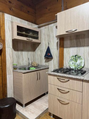 una cocina con estufa y fregadero en nothin, en Chakvi