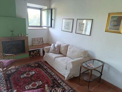 Una sala de estar con un sofá blanco y una chimenea. en Cozy Country House, en LʼOpaco