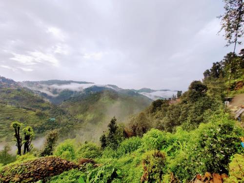a view of a mountain with clouds in the valley at Whispering Meadows U get entire 3 BHK in Shimla