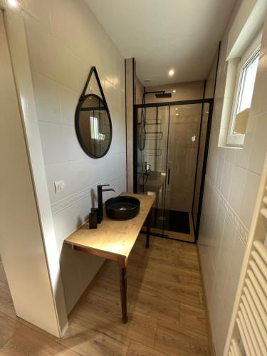 a bathroom with a sink and a mirror and a shower at Appartement le 101 in Macheren