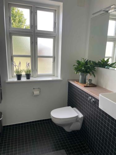 a bathroom with a toilet and a window and potted plants at Luxury Country House In Nature With Wellness in Haderslev