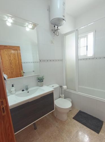 a bathroom with a sink and a toilet and a mirror at Casa Olini in Breña Alta