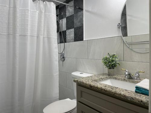 a bathroom with a sink and a toilet and a mirror at Pool Beach House in New Port Richey