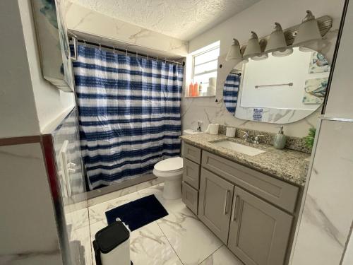 a bathroom with a sink and a toilet and a mirror at Pool Beach House in New Port Richey
