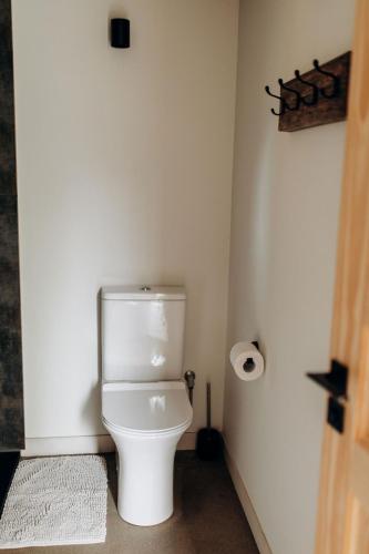 Ένα μπάνιο στο Stylish Tiny Cabin Pitrog