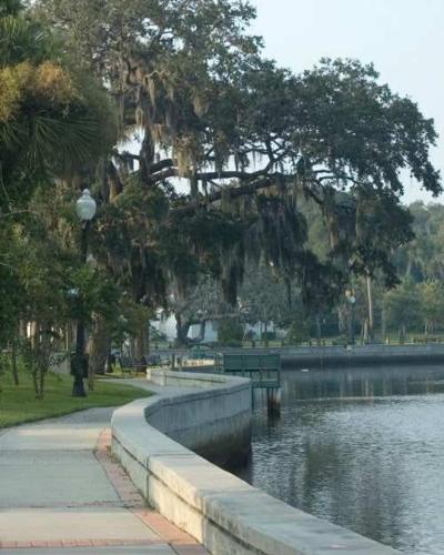 a park with a body of water and a tree at Pool Beach House in New Port Richey