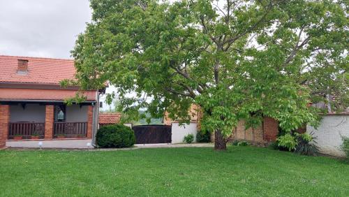 a tree in a yard next to a house at Kuća za odmor Tihi raj 