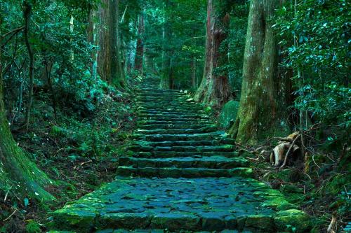 a stone path in the middle of a forest at TAOYA Nachikatsuura in Nachikatsuura