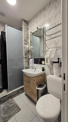 a bathroom with a toilet and a sink and a shower at Royal sleeping Brussels in Brussels