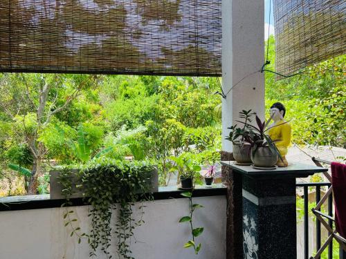 Taman di luar Ceylonima Home Stay