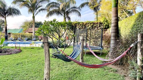a hammock in a yard with palm trees and a pool at Uyoga House in Arusha