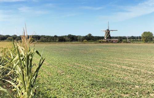 a plant in a field with a windmill in the background at 3 Bedroom Lovely Home In Beesel in Beesel
