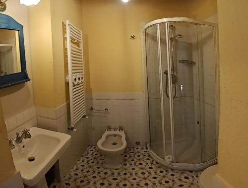 a bathroom with a shower and a toilet and a sink at Agriturismo La Forra in Cavriglia