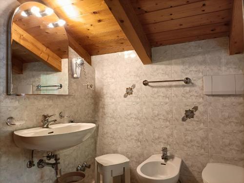 een badkamer met een wastafel en een toilet bij Appartamenti Villa Maria in Canazei