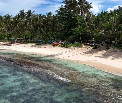 Naturlandschaft in der Nähe des Ferienhauses