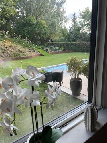 a window with white flowers on a window sill at Winding B&B Silkeborg in Silkeborg
