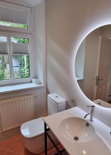 a bathroom with a sink and a toilet and a mirror at Burg Schöna - Suiten und Zimmer in Reinhardtsdorf