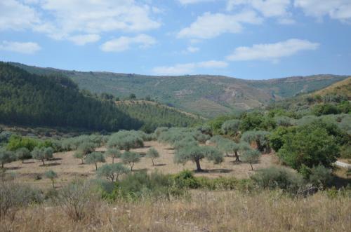 Φυσικό τοπίο κοντά σε αυτό το κατάλυμα σε φάρμα
