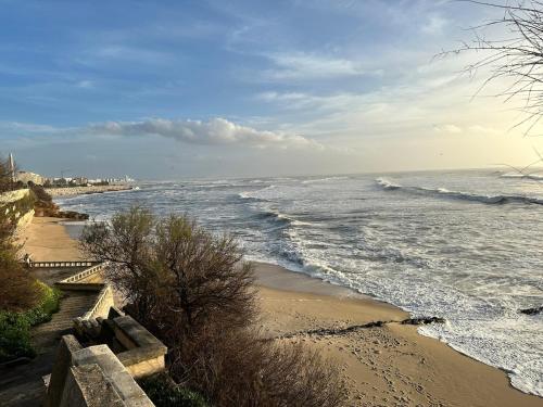 a view of a beach with the ocean at Atlantic Foz in Buarcos