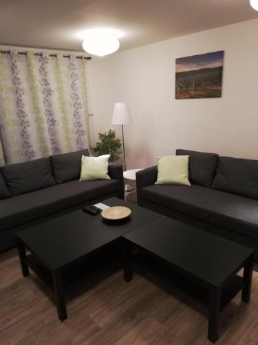 a living room with a couch and a coffee table at Apartmány pod Divadlem in Znojmo
