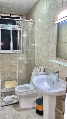 un baño con inodoro y lavabo en Mimo Apartment, en Addis Ababa