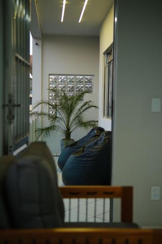 a room with a potted plant in a room at Estação da XV in Telêmaco Borba