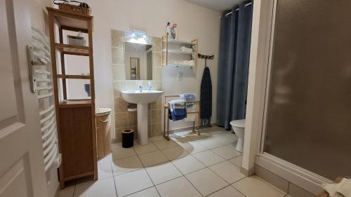 a bathroom with a sink and a toilet at Apppartement 2 pièces centre-ville in Chauffailles