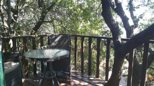 a glass table sitting on a deck next to a tree at Eretz Hagalil - Land of Galilee in Amirim
