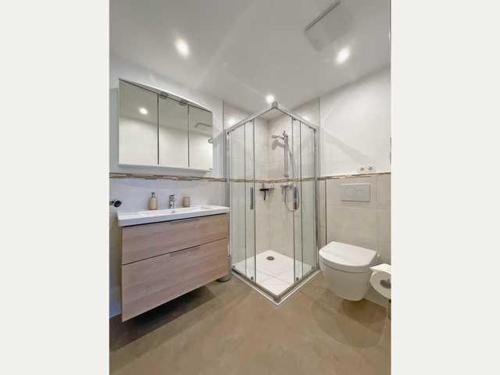 een badkamer met een douche, een toilet en een wastafel bij Haus Petje in Keitum