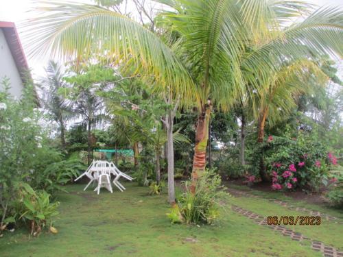 a garden with a table and a palm tree at Bernadette in Bois dʼOlive
