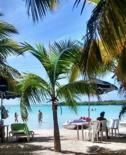 a palm tree on a beach with people in the water at SoliMar Caribeño in Boca Chica