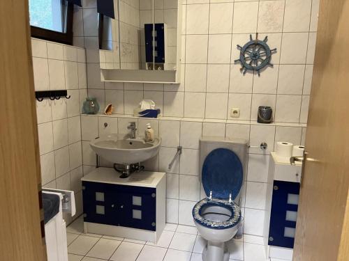 HaundorfにあるModerne Fewo Haundorf mit Terrasse ebenerdigのバスルーム(青いトイレ、シンク付)