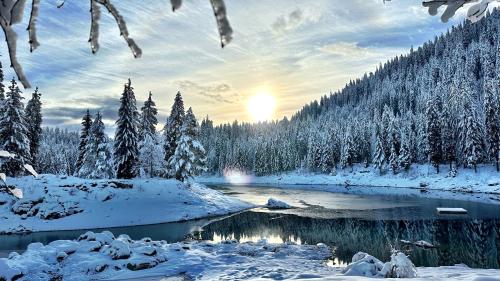 a winter scene of a river with snow covered trees at Romantik Hotel Schweizerhof & Spa Flims in Flims