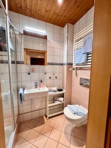 a bathroom with a toilet and a sink and a shower at Baalmann Nr.2 in Borkum