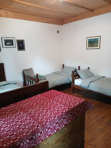 a living room with three beds and a red rug at KAMENICA Stara Planina in Dimitrovgrad