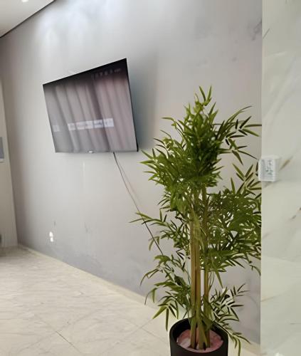 a plant in a black pot next to a tv at Loft Estilo seguro e bem localizado in Rio Branco