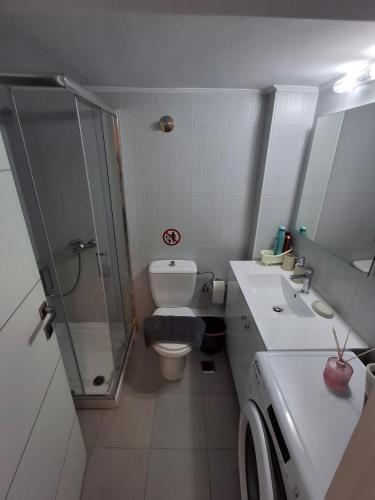 a bathroom with a shower and a toilet and a sink at IRIS Apartment in Loutraki
