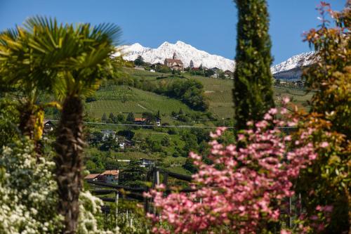 a view of a mountain from a garden with pink flowers at FAYN garden retreat hotel in Lagundo