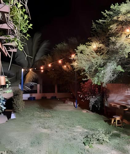 a garden at night with lights and trees at Casa Jardim jabuticabas na fronteira in Brasiléia