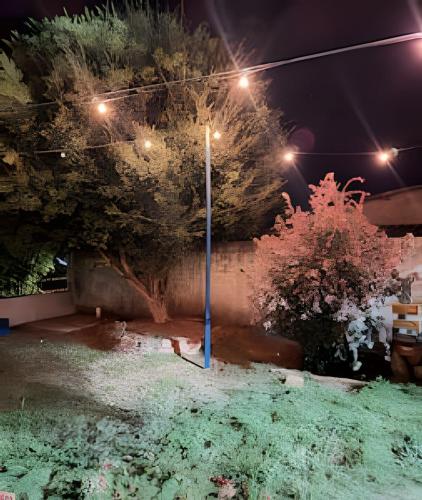 a street light in a yard at night at Casa Jardim jabuticabas na fronteira in Brasiléia